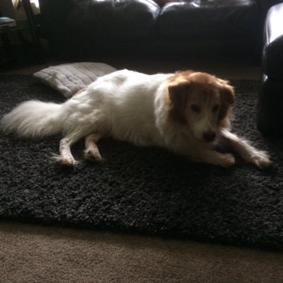 Nicolaleyland4's profile picture. 