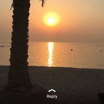 IYoGCE8n5t7FkbM's profile picture. KSA KSA KSA Arab World Arab World News Technology Companies