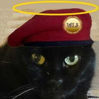 LoPelYr (@lopelyr) 's Twitter Profile