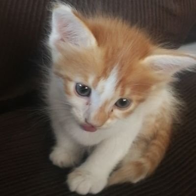 i_andying's profile picture. I’m the best at being humble