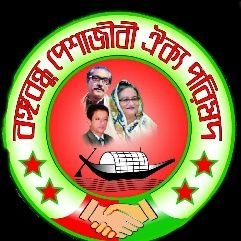 Founder President Bangabandhu professonal Unity Council.Sheikh Hasina is my Great Leadership