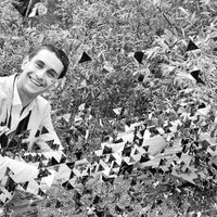 Omar Fayed (@mromarfayed) 's Twitter Profile