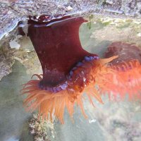 Coastwise North Devon 🐚 (@coastwiser) 's Twitter Profile
