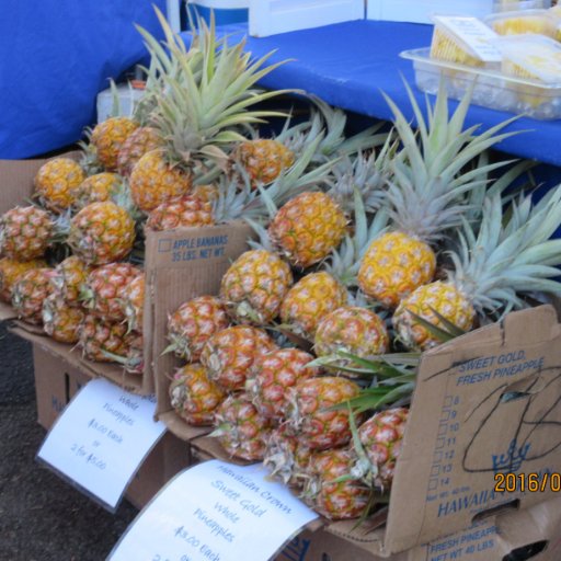 AmyBeth45276221's profile picture. Dual Language Educator