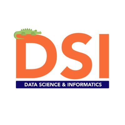 DSI at UF