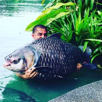 Ali Hamidi (@alihamidi) 's Twitter Profile