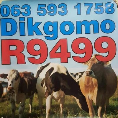 Aspiring agripreneur. Siya'bereka le economy. livestock. poultry.