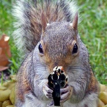 LFiltration's profile picture. A business owner who believes in the free market. Unfortunately, common sense is not so common anymore. #MAGA #CONSERVATIVE #CAPITALISM