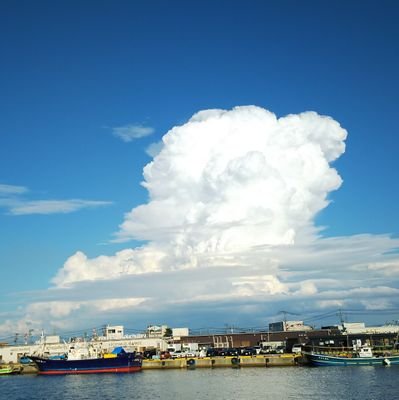 L5Hl3yX96DGz42x's profile picture. 自然と畑と魚が好きな新潟県民。LGBT。 たーさんです。🐟