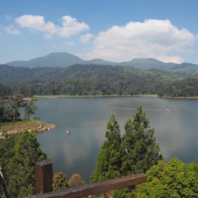 RickyAR's profile picture. 