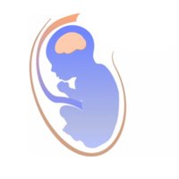 FASD Study Group (@fasd_studygroup) 's Twitter Profile