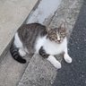 sinmay_2072018's profile picture. 何事も適当に。