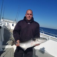 Mike (@mrenner12) 's Twitter Profile