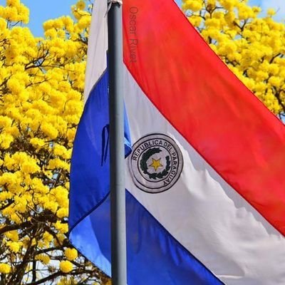Creo en DIOS y en la interseción de la Virgen María. Paraguayo y Olimpista de alma.