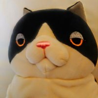 まかやん (@z9iumrwqpbuzhvs) 's Twitter Profile Photo
