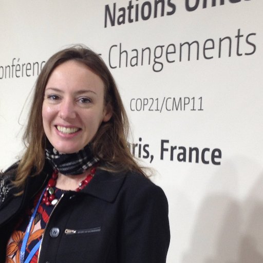 DianaMovius's profile picture. International climate change and forest consultant. Creator of the #climateballet GLACIER-See it at #GCAS2018!  Former World Bank, CCAP, UCS