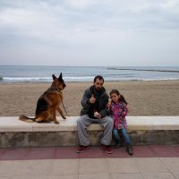 Alejandro Blanco TH (@tehache82) 's Twitter Profile