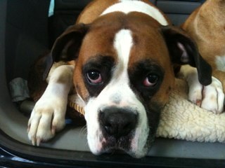 Jkulek's profile picture. 