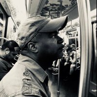 DNewman (@sharksightings) 's Twitter Profile
