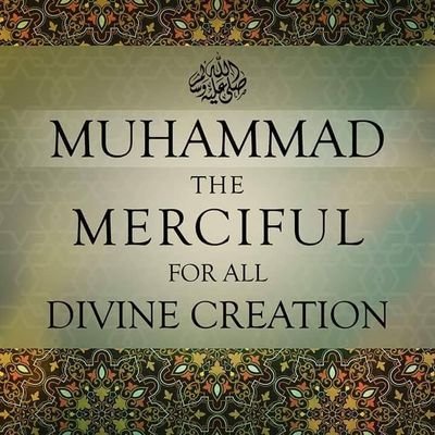 haider7374's profile picture. 