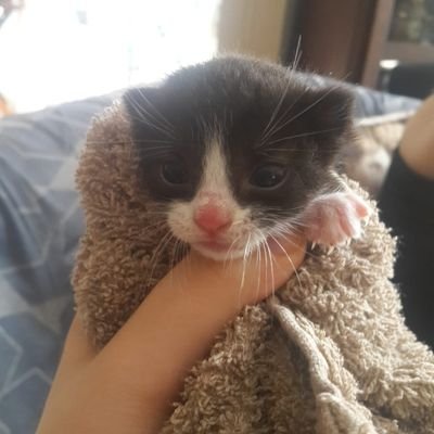 C95933's profile picture. Teknoloji