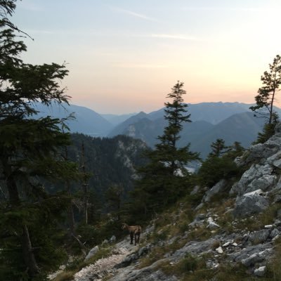 bignacy's profile picture. 