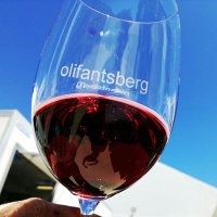 Olifantsberg Wines(@olifantsberg) 's Twitter Profile Photo