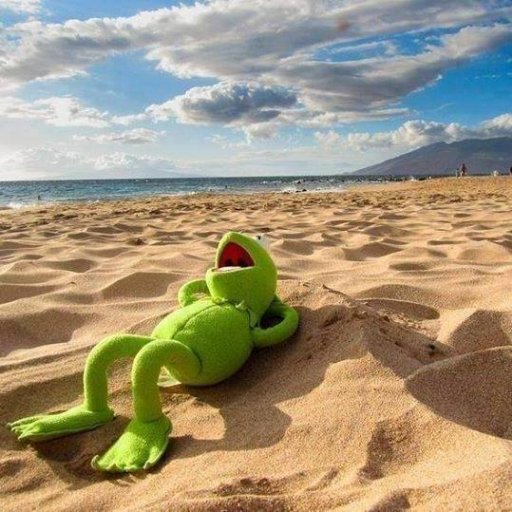 Manu_P's profile picture. 