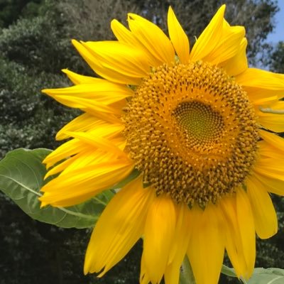 visualk98957808's profile picture. お取引き