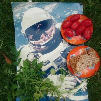 art, exhibitions, adventures. #whatis #urbanpicnic #urbanpicnic_hull #ofloveandsea @artistmoie