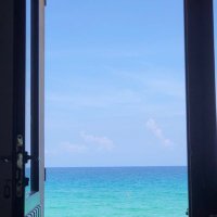 Daniela Poli (@danielapoli) 's Twitter Profile