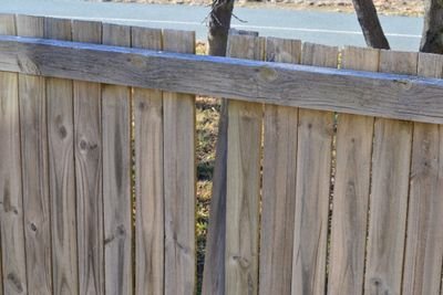 luvnxt's profile picture. Special