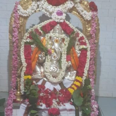 maleshanmuam's profile picture. 