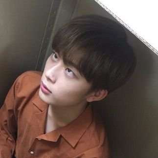 seonhophile Profile Picture