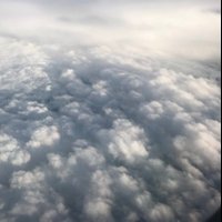 Just Simply scrolling (@scrollingsimply) 's Twitter Profile