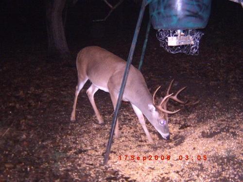 OklaWhitetail's profile picture. 
