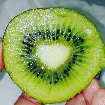 Entonces, ella abrió los ojos y todas las noches que soñó se hicieron realidad.