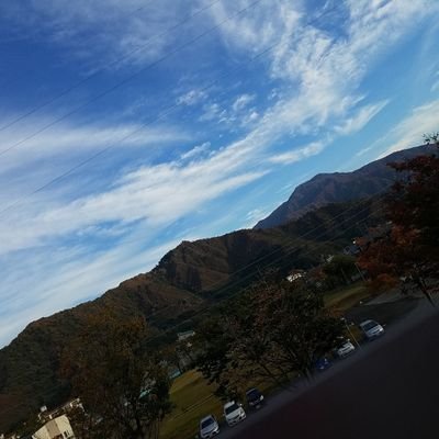 daigo_ski's profile picture. はっかい             スキー　　　 野球