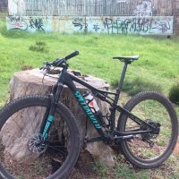 Paul Valstar (@valstarpaul) 's Twitter Profile