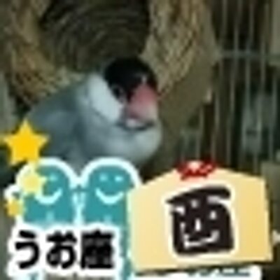 蝦夷王っす。 独身無職欝持ちのダメ人間だけど古代からの東北民の末裔を自負。政治的発言多けれど戯言や警句もあり。日本文化の多様性を支持。　根本的には汎神論・神秘主義・感覚一元論者。この世は夢現などない。
フォロウされたいって奇特な人はプロフィル充実させてね。人物像が想像出来ないと躊躇うから。