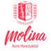Municipalidad Molina (@imunimolina) Twitter profile photo Municipalidad Molina (@imunimolina) Twitter profile photo