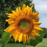 Ms. Hudson (she/her) (@ahudson_ocsb) Twitter profile photo