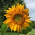 Ms. Hudson (she/her) (@ahudson_ocsb) Twitter profile photo Ms. Hudson (she/her) (@ahudson_ocsb) Twitter profile photo