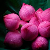 Julie en vadrouille (@45ans_de_voyage) 's Twitter Profile Photo