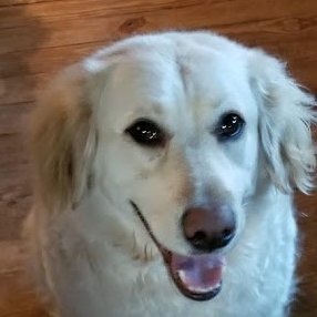 pegkucek's profile picture. Peg Kucek (Jackson)