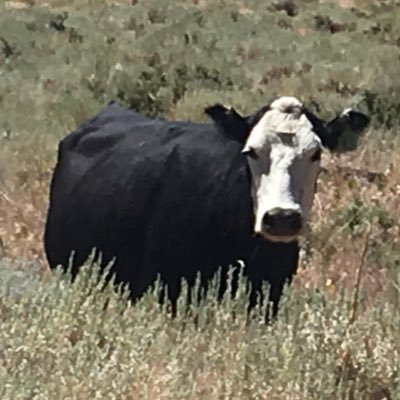 In support of sustainable ranch and rangeland management in California and across the Globe.