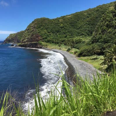 cardsfanantic's profile picture. Christian loving life God family and friends,country Cardinals and Budweiser