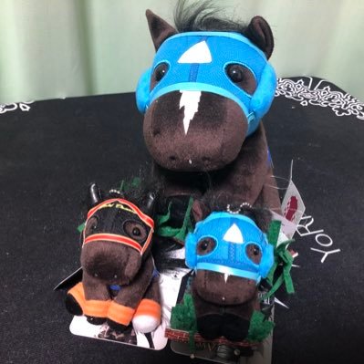 kifuto's profile picture. リアルもウマ娘もオペラオー推しで和田騎手のファンです