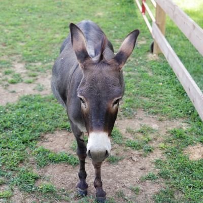 Southforkranch2's profile picture. 