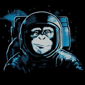 CuriousSpaceApe's profile picture. Wandering curiosity